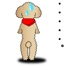 The Toy Poodle stickers 3 sticker #11544638
