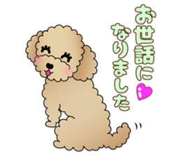 The Toy Poodle stickers 3 sticker #11544641