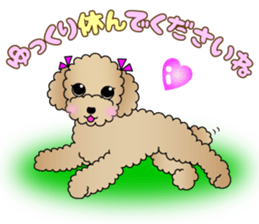 The Toy Poodle stickers 3 sticker #11544647