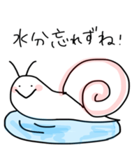 Bear rabbit squirrel cat and sneil sticker #11546233