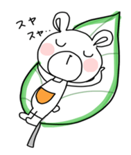 Bear rabbit squirrel cat and sneil sticker #11546235