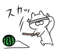 White squirrel. -summer- sticker #11546925