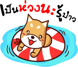 me tung sticker #11550753