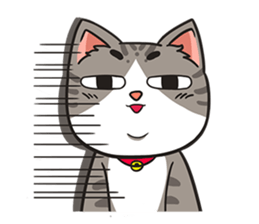 A troll cat+ sticker #11552540