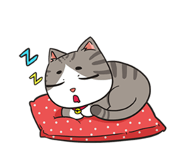 A troll cat+ sticker #11552566