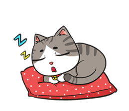 A troll cat+ sticker #11552566