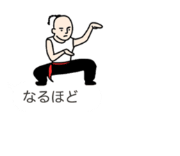 It is the way to Kung Fu sticker #11554150