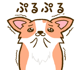 Naughty Corgi 3 sticker #11555128