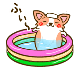 Naughty Corgi 3 sticker #11555152