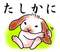 The lop ear rabbit named MO- sticker #11555217
