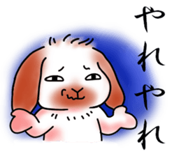 The lop ear rabbit named MO- sticker #11555219