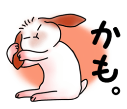 The lop ear rabbit named MO- sticker #11555236
