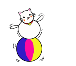 I am Cat Dharma sticker #11555811