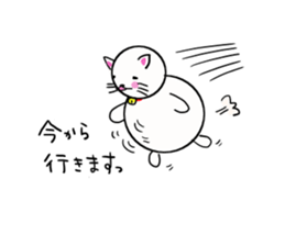 I am Cat Dharma sticker #11555834