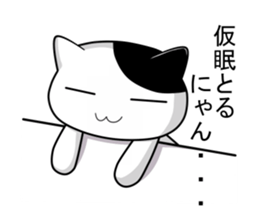Nyanchi of black-and-white cat2 sticker #11557853