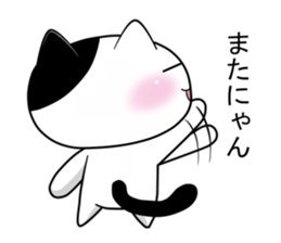 Nyanchi of black-and-white cat2 sticker #11557854