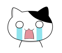 Nyanchi of black-and-white cat2 sticker #11557870