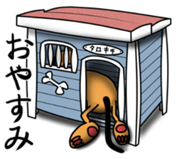 Not cute dog. sticker #11558653