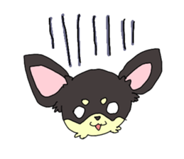 dog popo sticker #11558721