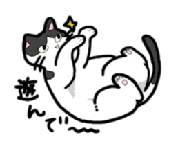 haru neko sticker #11559756