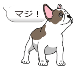 Wanko-Biyori Vol.6 French Bulldog sticker #11561520