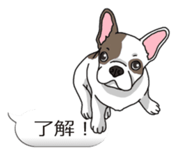 Wanko-Biyori Vol.6 French Bulldog sticker #11561542