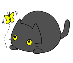 Everyday black cat of sen sticker #11561592