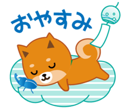 Shiba dog "MUSASHI" 8 sticker #11563274