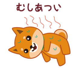 Shiba dog "MUSASHI" 8 sticker #11563281