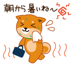 Shiba dog "MUSASHI" 8 sticker #11563282