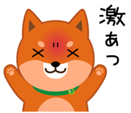 Shiba dog "MUSASHI" 8 sticker #11563283