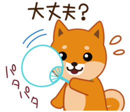 Shiba dog "MUSASHI" 8 sticker #11563284