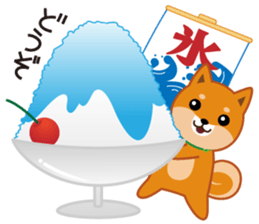 Shiba dog "MUSASHI" 8 sticker #11563285