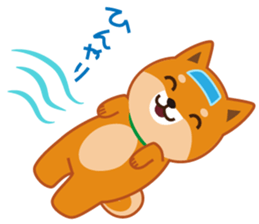 Shiba dog "MUSASHI" 8 sticker #11563287