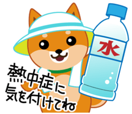 Shiba dog "MUSASHI" 8 sticker #11563288