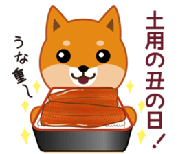 Shiba dog "MUSASHI" 8 sticker #11563291