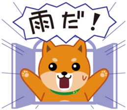 Shiba dog "MUSASHI" 8 sticker #11563293