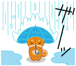 Shiba dog "MUSASHI" 8 sticker #11563294