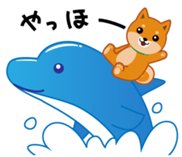 Shiba dog "MUSASHI" 8 sticker #11563296