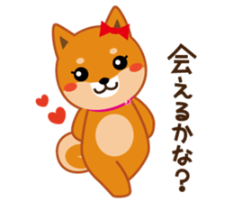 Shiba dog "MUSASHI" 8 sticker #11563298