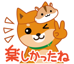 Shiba dog "MUSASHI" 8 sticker #11563311