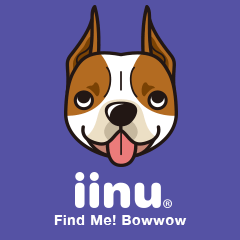 iinu - American Staffordshire Terrier