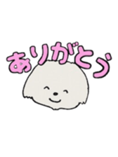 Belle, the bichon frise sticker #11564872