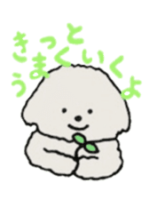 Belle, the bichon frise sticker #11564873