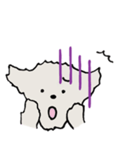 Belle, the bichon frise sticker #11564876