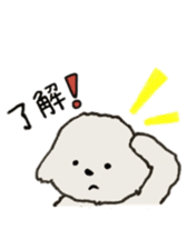Belle, the bichon frise sticker #11564880