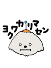 Belle, the bichon frise sticker #11564882