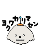 Belle, the bichon frise sticker #11564882