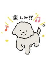 Belle, the bichon frise sticker #11564886