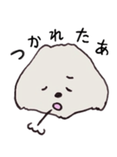 Belle, the bichon frise sticker #11564888